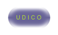 Udico Holdings, Inc.